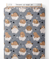 Tissu - Dinosaures sur nuages gris