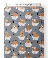 Tissu - Dinosaures sur nuages gris