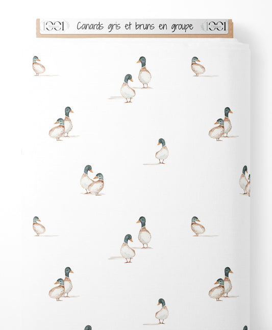 Tissu - Canards gris et bruns en groupe