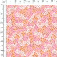 Tissu - Fleurs roses et motifs floraux