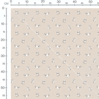 Tissu - Raton laveurs sur fond beige