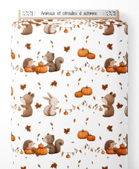 Tissu - Animaux et citrouilles d'automne