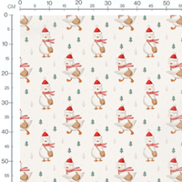 Tissu - Canards avec bonnets rouges