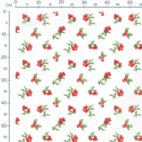 Tissu - Baies rouges et feuilles claires