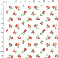 Tissu - Baies rouges et feuilles claires