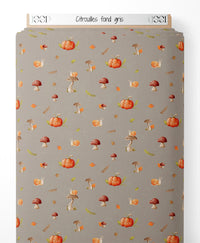 Tissu - Citrouilles sur fond gris