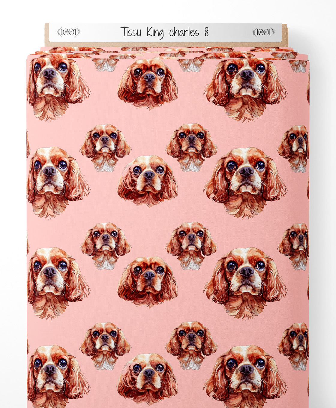 Tissu - King charles 8