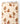 Tissu - Ours bruns sur fond beige 2