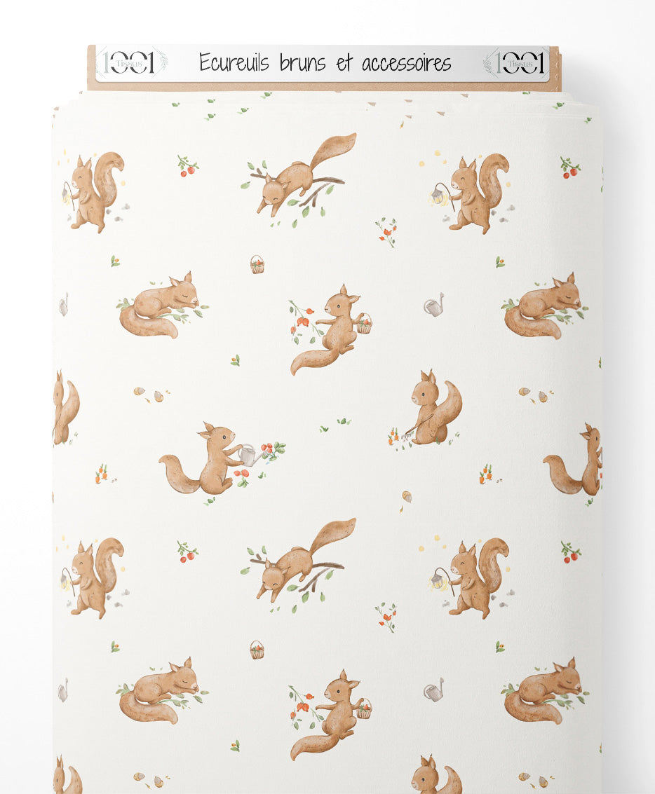 Tissu - Écureuils bruns et accessoires