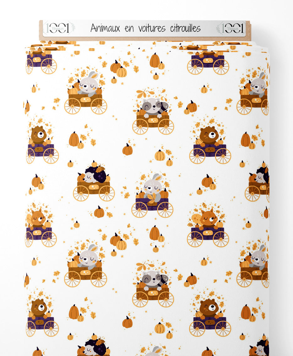 Tissu - Animaux en voitures citrouilles