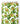 Tissu - Avocats et feuilles vertes
