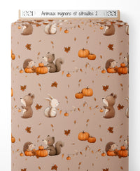 Tissu - Animaux mignons et citrouilles 2