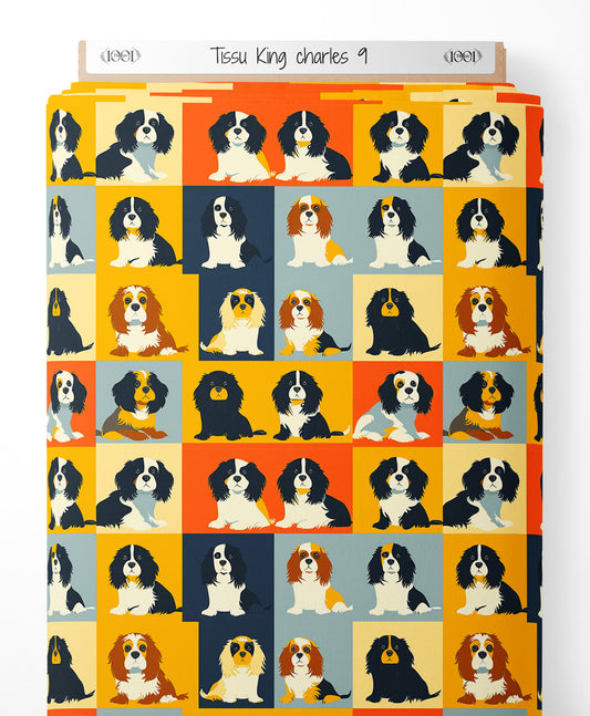Tissu - King charles 9
