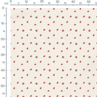 Tissu - Coccinelles rouges sur beige