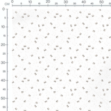 Tissu - Ratons laveurs et points ludiques