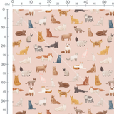Tissu - Chats variés fond rose