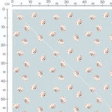 Tissu - Têtes d'ours beige doux