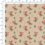 Tissu - Dinosaures de Noël joyeux
