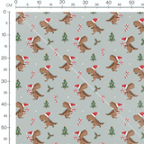 Tissu - Dinosaures de Noël amusants
