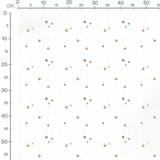 Tissu - Abeilles claires et légères