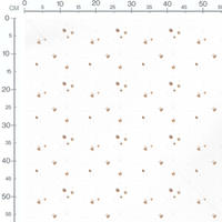 Tissu - Abeilles claires et légères