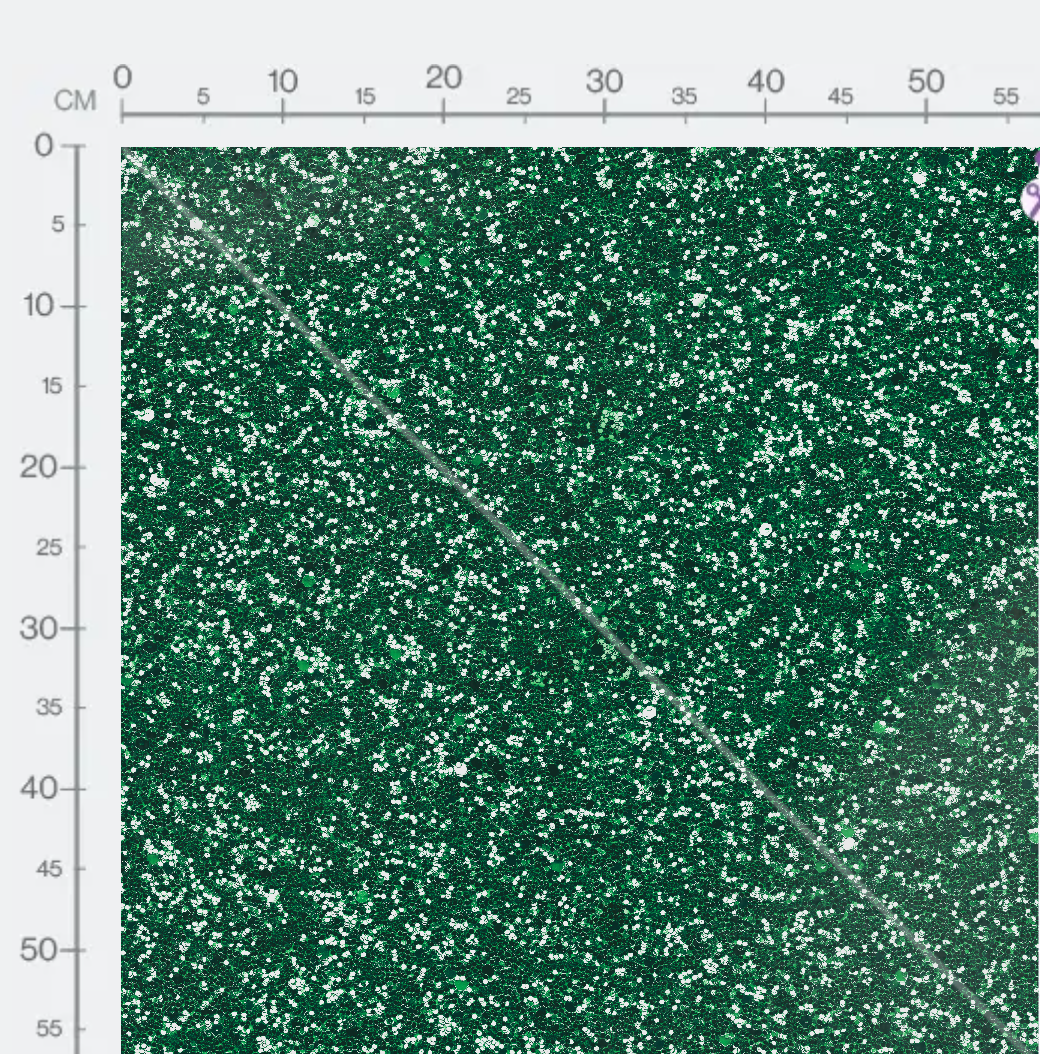 Tissu - Green skin 2