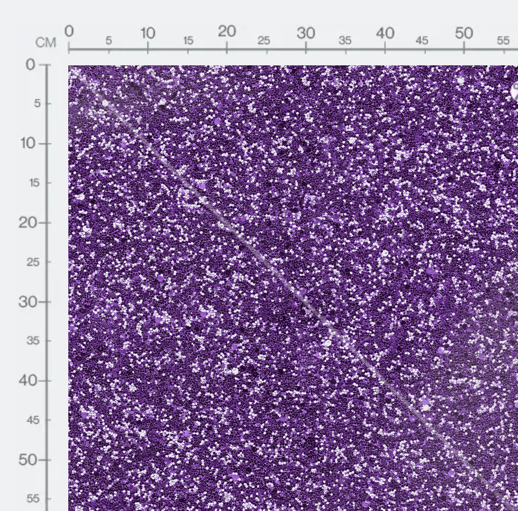 Tissu - Purple skin 2