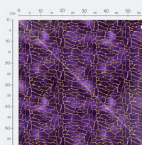 Tissu - Purple skin 14