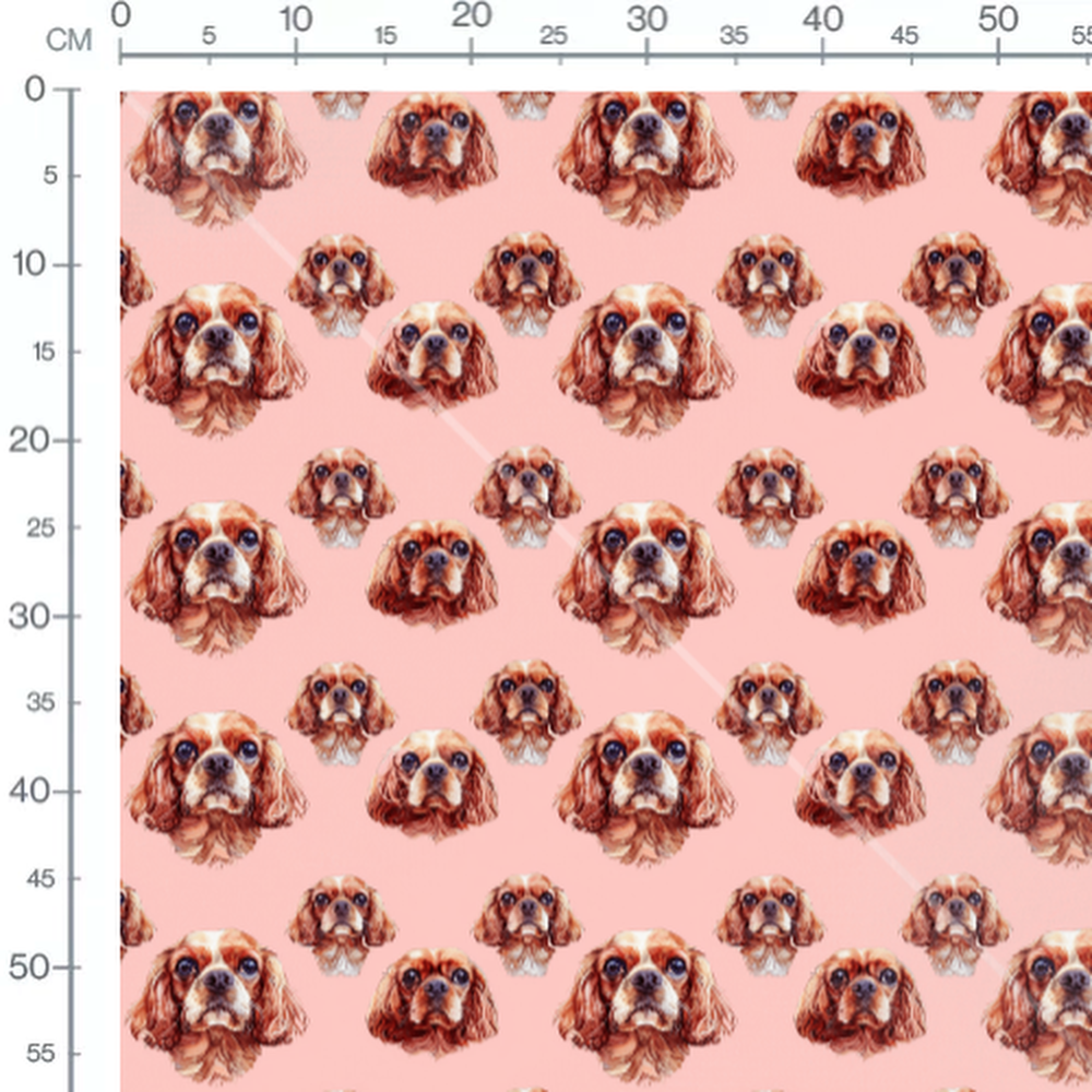 Tissu - King charles 8