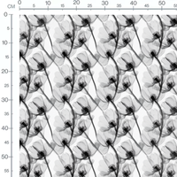 Tissu - Tissu Fleur Xray Noir Gris