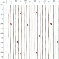 Tissu - Coccinelles sur lignes noires