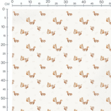 Tissu - Écureuils marron sur fond blanc