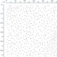 Tissu - Pois noirs uniformes sur blanc 2
