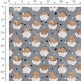 Tissu - Dinosaures sur nuages gris