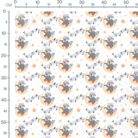 Tissu - Raton laveur sur lune