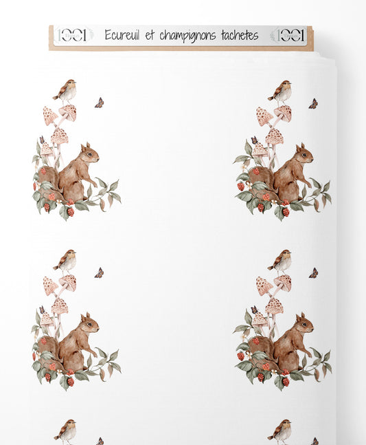 Tissu - Écureuil et champignons tachetés