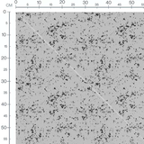 Tissu - Têtes d'ours souriants
