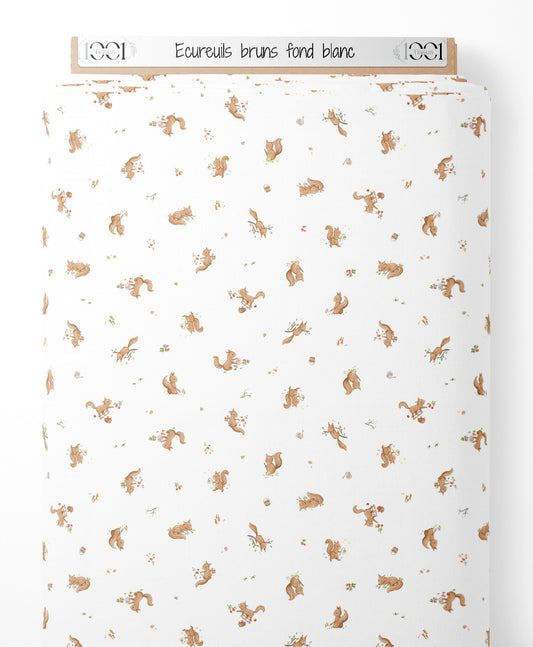 Tissu - Écureuils bruns sur fond blanc