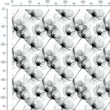 Tissu - Tissu Fleur Xray Blanc Noir