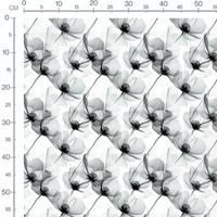 Tissu - Tissu Fleur Xray Blanc Noir