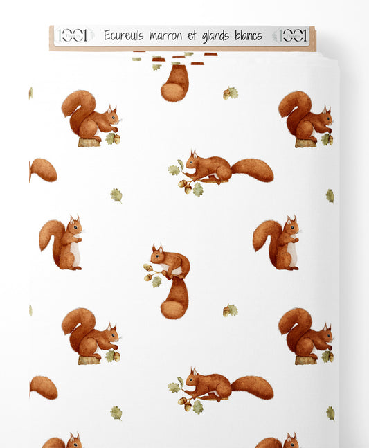 Tissu - Écureuils marron et glands blancs