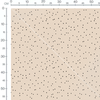 Tissu - Pois noirs variés sur beige