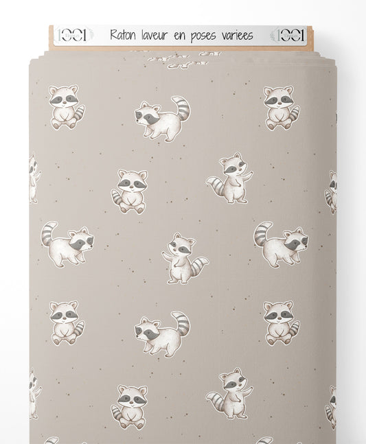 Tissu - Raton laveur en poses variées