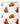 Tissu - Ours souriants sur fond blanc