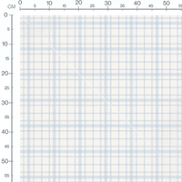 Tissu - Lapins à vélo et ballons