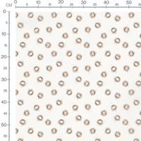 Tissu - Tasses crème sur fond blanc