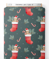 Tissu - Bonhommes pain d'épice et